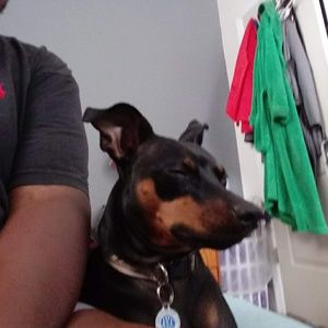 Meet your Posher, Leonard